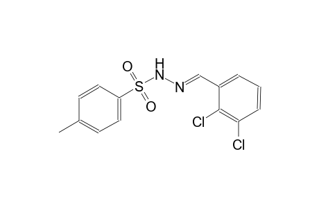 N'-[(E)-(2,3-dichlorophenyl)methylidene]-4-methylbenzenesulfonohydrazide