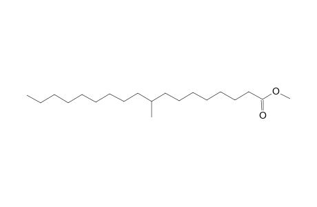 Octadecanoic acid, 9-methyl-, methyl ester