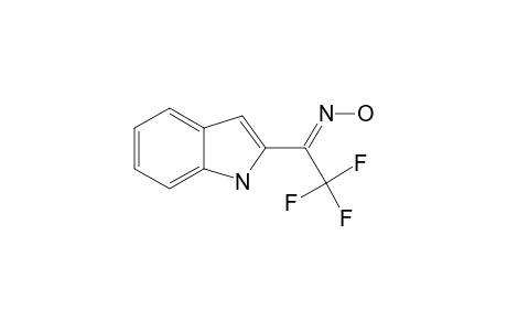 2,2,2-TRIFLUORO-1-(1H-INDOL-2-YL)-ETHAN-1-ONE-OXIME