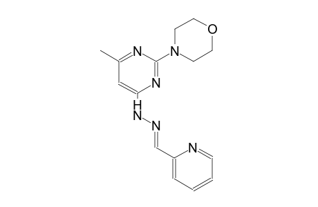 2-pyridinecarbaldehyde [6-methyl-2-(4-morpholinyl)-4-pyrimidinyl]hydrazone