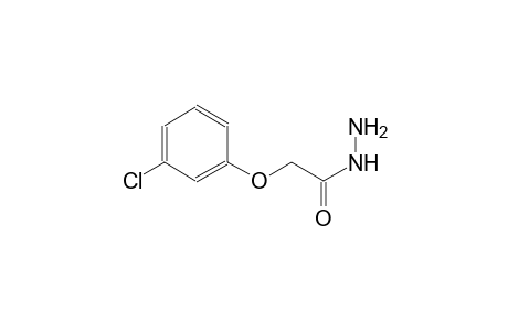 2-(3-chlorophenoxy)acetohydrazide