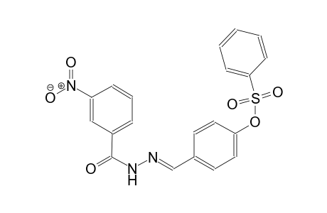 4-{(E)-[2-(3-nitrobenzoyl)hydrazono]methyl}phenyl benzenesulfonate