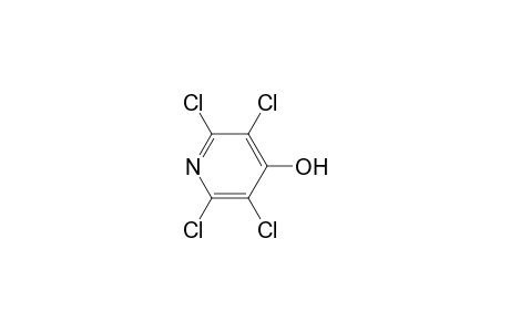 2,3,5,6-tetrachloro-1H-pyridin-4-one