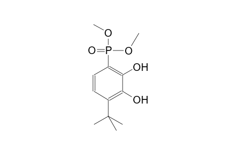 phosphonic acid, [4-(1,1-dimethylethyl)-2,3-dihydroxyphenyl]-, dimethyl ester