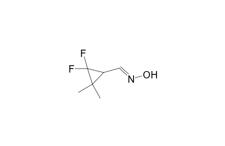 2,2-Difluoro-3,3-dimethyl-1-cyclopropanecarbaldehyde oxime