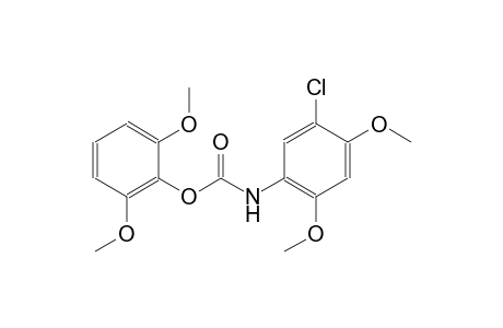 2,6-dimethoxyphenyl 5-chloro-2,4-dimethoxyphenylcarbamate