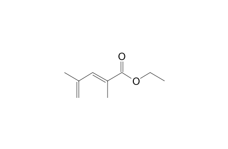 Ethyl 2,4-dimethyl-2,4-pentadienoate