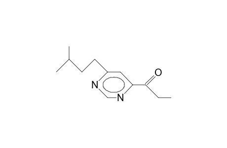 4-(1-Oxo-propyl)-6-(3-methyl-butyl)-pyrimidine