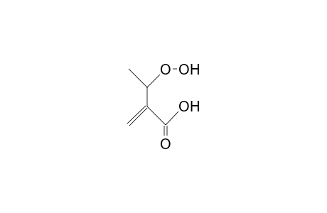 3-Hydroperoxy-2-methylene-butanoic acid