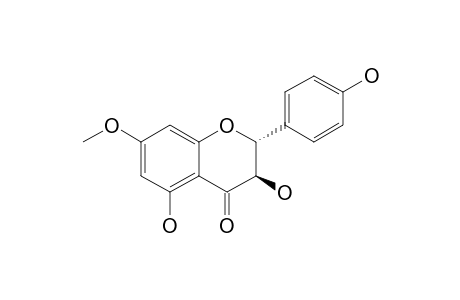 (2R,3R)-3,5-dihydroxy-2-(4-hydroxyphenyl)-7-methoxychroman-4-one