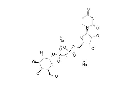 URIDINE-5'-DIPHOSPHONO-GALACTOSAMINE;UDP-GALN