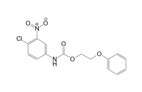 2-phenoxyethyl 4-chloro-3-nitrophenylcarbamate