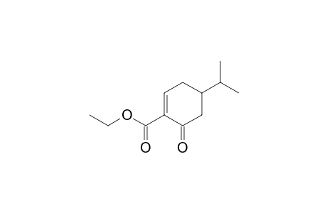 4-isopropyl-6-keto-cyclohexene-1-carboxylic acid ethyl ester