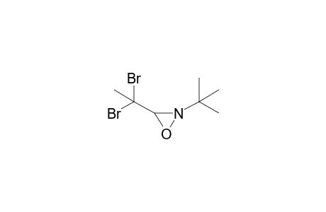 2-tert-Butyl-3-(1,1-dibromoethyl)oxaziridine