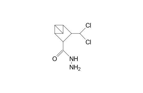 4-Dichloromethyl-tricyclo(3.1.0.0/2,6/)hexane-3-carboxylic acid, hydrazide