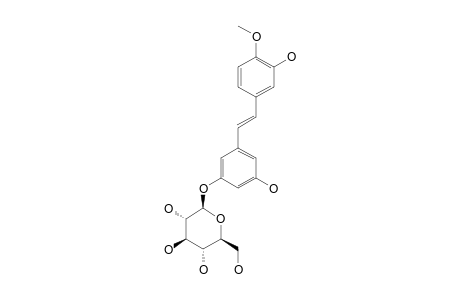 RHAPONTICIN