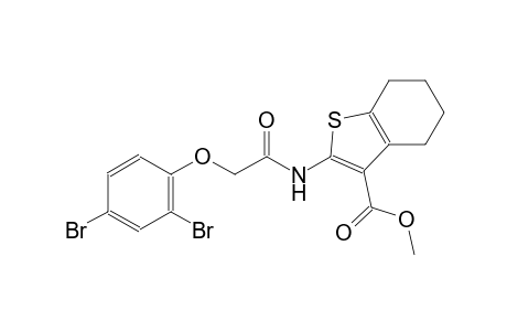 benzo[b]thiophene-3-carboxylic acid, 2-[[(2,4-dibromophenoxy)acetyl]amino]-4,5,6,7-tetrahydro-, methyl ester