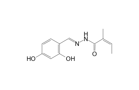 cis-2-methylcrotonic acid, (2,4-dihydroxybenzylidene)hydrazide