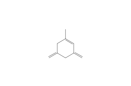 1-methyl-3,5-dimethylidenecyclohexene