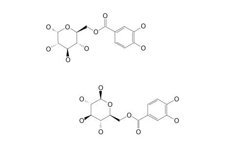 6'-O-(3,4-DIHYDROXYBENZOYL)-BETA/ALPHA-D-GLUCOPYRANOSYLESTER