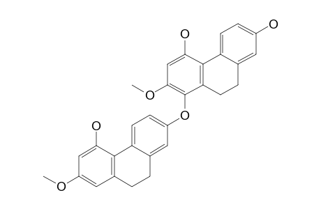 PHOYUNNANIN-E;1-[(9,10-DIHYDRO-4-HYDROXY-2-METHOXY-7-PHENANTHRENYL)-OXY]-4,7-DIHYDROXY-2-METHOXY-9,10-DIHYDROPHENANTHRENE