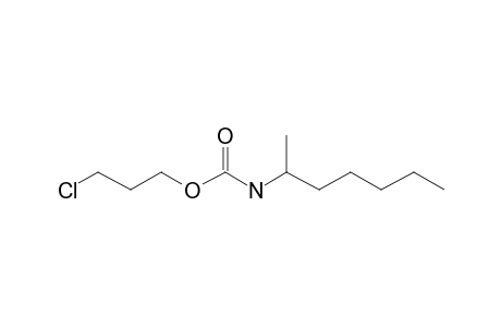 Carbonic acid, monoamide, N-hept-2-yl-, 3-chloropropyl ester