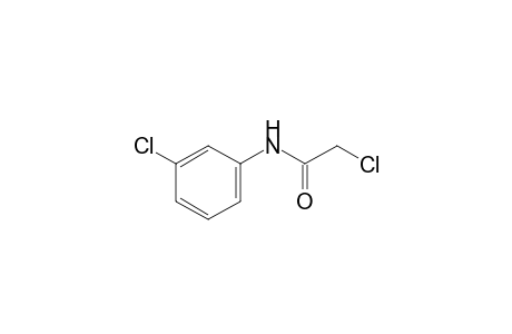 2,3'-dichloroacetanilide