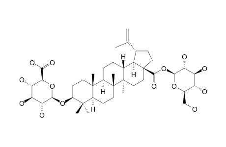 RYOBUSAPONIN-E;3-BETA-O-(BETA-D-GLUCOPYRANOSYLOXY)-LUP-20(29)-EN-28-OIC-ACID-28-O-BETA-D-GLUCOPYRANOSYLESTER