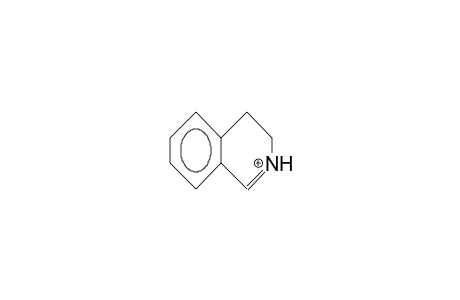 3,4-Dihydro-isoquinolinium cation