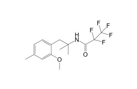 2,2,3,3,3-pentafluoro-N-(1-(2-methoxy-4-methylphenyl)-2-methylpropan-2-yl)propanamide