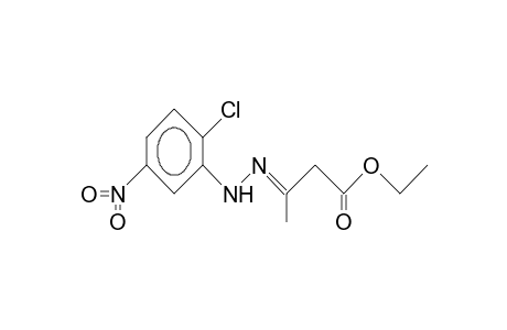 3-(2-Chloro-5-nitro-anti-phenylhydrazono)-butanoic acid, ethyl ester