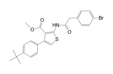 methyl 2-{[(4-bromophenyl)acetyl]amino}-4-(4-tert-butylphenyl)-3-thiophenecarboxylate
