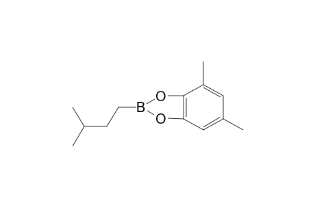 1-[(3',5'-Dimethylphenylene)boronyl]-3-methylbutane