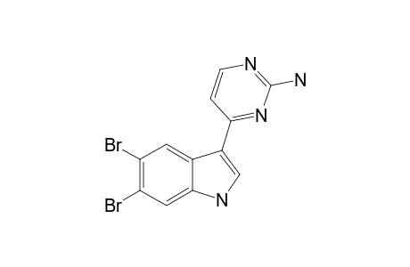 MERIDIANIN-F