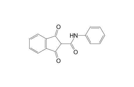 1,3-bis(oxidanylidene)-N-phenyl-indene-2-carboxamide