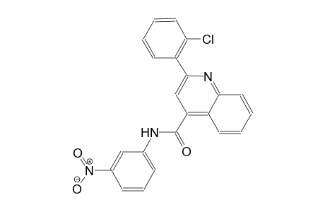 2-(2-chlorophenyl)-N-(3-nitrophenyl)-4-quinolinecarboxamide