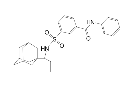 3-[1-(1-adamantyl)propylsulfamoyl]-N-phenyl-benzamide