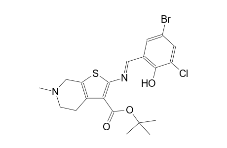 tert-butyl 2-{[(E)-(5-bromo-3-chloro-2-hydroxyphenyl)methylidene]amino}-6-methyl-4,5,6,7-tetrahydrothieno[2,3-c]pyridine-3-carboxylate