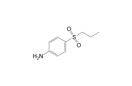 p-(propylsulfonyl)aniline