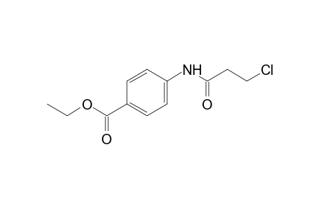 4-(3-chloropropionamido)benzoic acid, ethyl ester