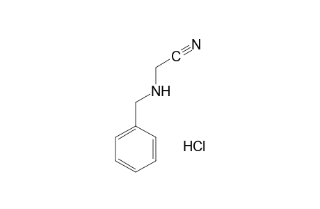 N-Benzylaminoacetonitrile hydrochloride