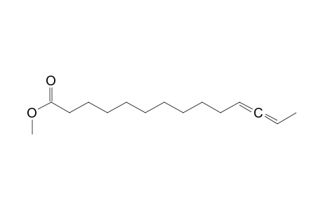 methyl tetradeca-11,12-dienoate
