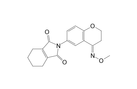 1H-Isoindole-1,3(2H)-dione, 2-[3,4-dihydro-4-(methoxyimino)-2H-1-benzopyran-6-yl]-4,5,6,7-tetrahydro-