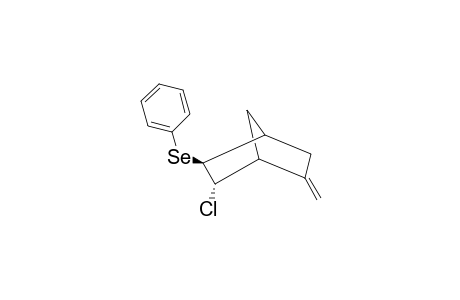 EXO-2-PHENYLSELENO-ENDO-3-CHLORO-5-METHYLENEBICYCLO-[2.2.1]-HEPTANE