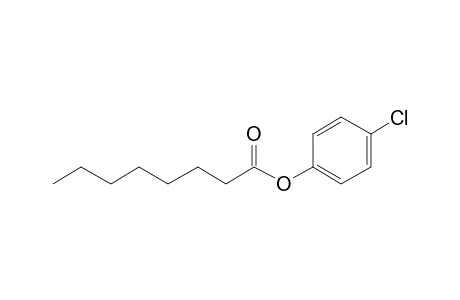 Octanoic acid, 4-chlorophenyl ester