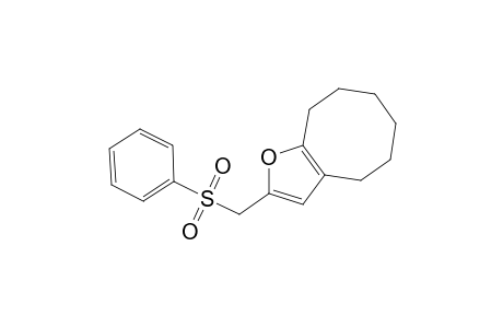 4,5,6,7,8,9-Hexahydro-2-[(phenylsulfonyl)methyl]cycloocta[b]furan