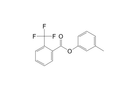 2-Trifluoromethylbenzoic acid, 3-methylphenyl ester