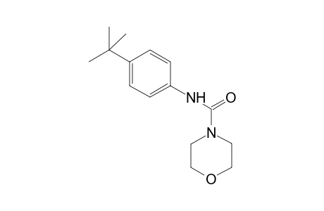 4H-1,4-Oxazine-4-carboxamide, N-[4-(1,1-dimethylethyl)phenyl]tetrahydro-
