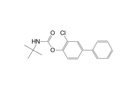 4-{[(tert-butylamino)carbonyl]oxy}-3-chloro-1,1'-biphenyl