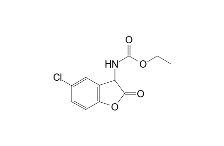 Ethyl (5-chloro-2-oxo-2,3-dihydrobenzofuran-3-yl)carbamate